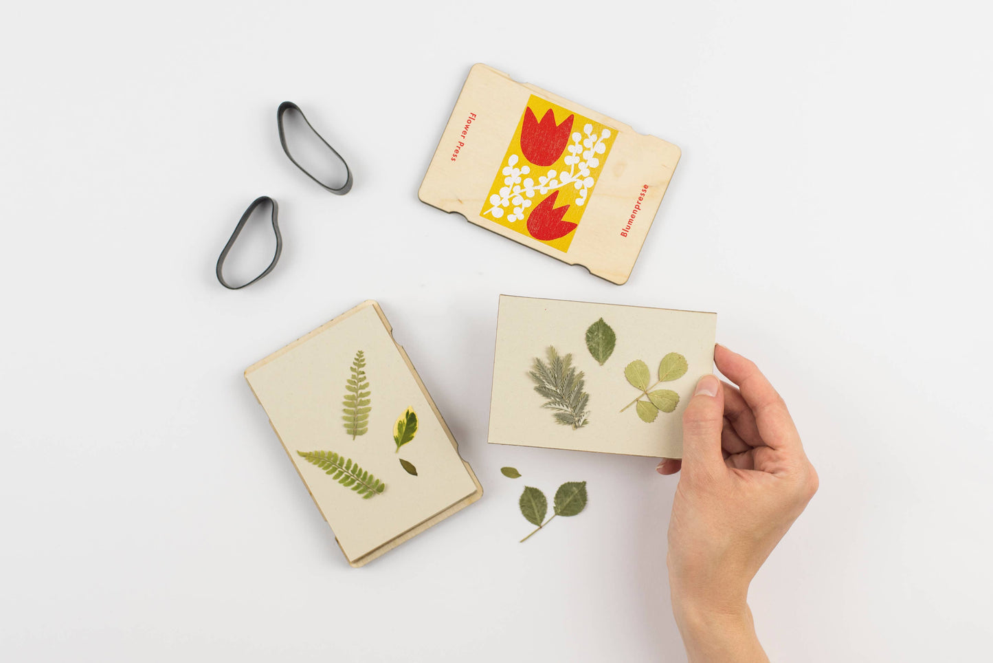 Pocket Flower Press - Tulip