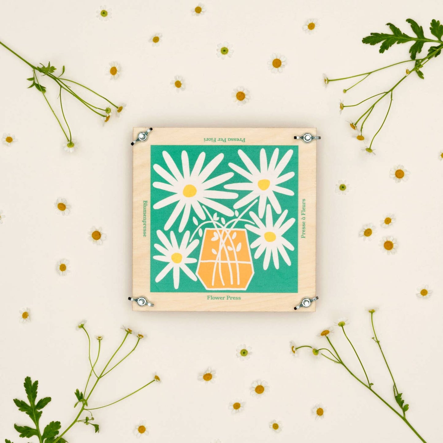 Flower Press - Daisy
