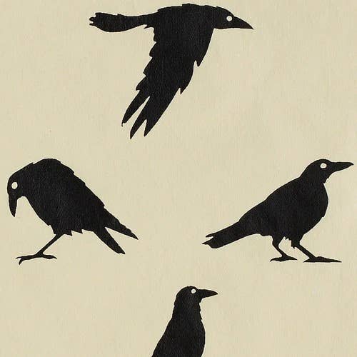Crows - 10 Flat Sheet - Cream/Black