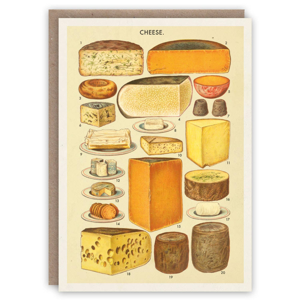 The Pattern Book - Cheese greeting card