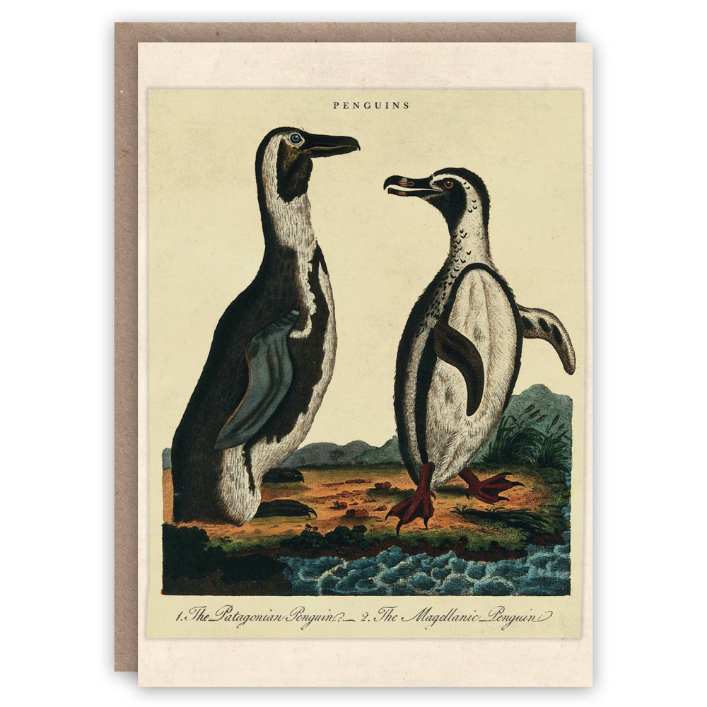 The Pattern Book - Penguins greeting card