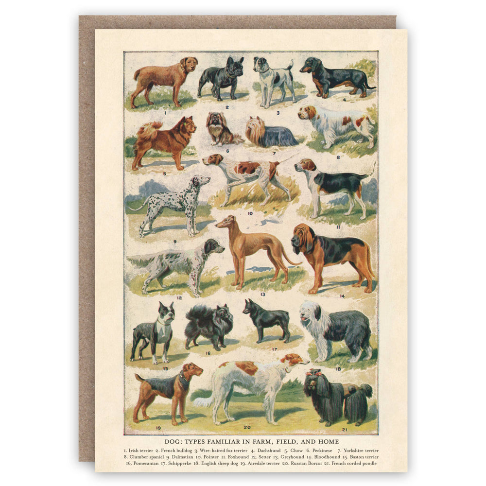 The Pattern Book - Dog Breeds greeting card