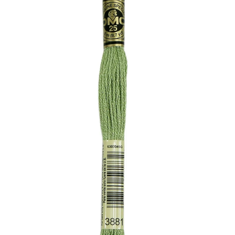 
                      
                        DMC Embroidery Floss - Greens
                      
                    