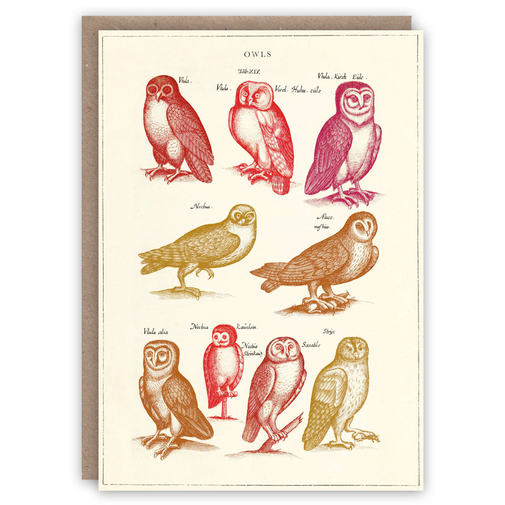 The Pattern Book - Owls greeting card