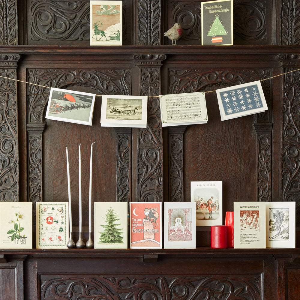 
                      
                        The Pattern Book - Nordmann Fir Christmas card
                      
                    