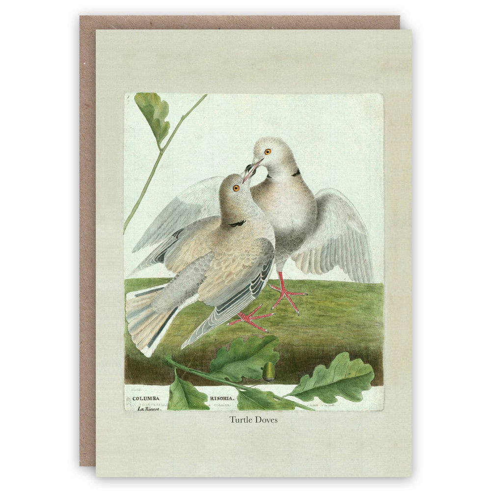 The Pattern Book - Turtle Doves greeting card