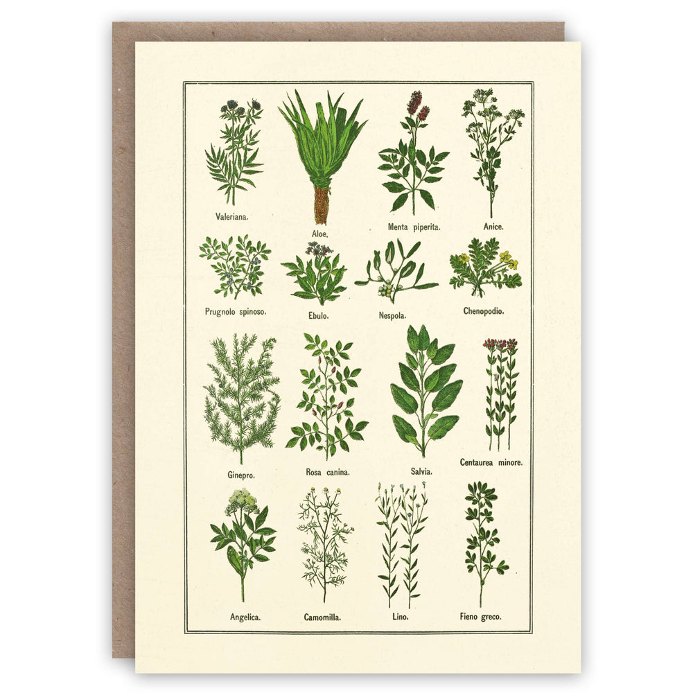 The Pattern Book - Healthy Herbs