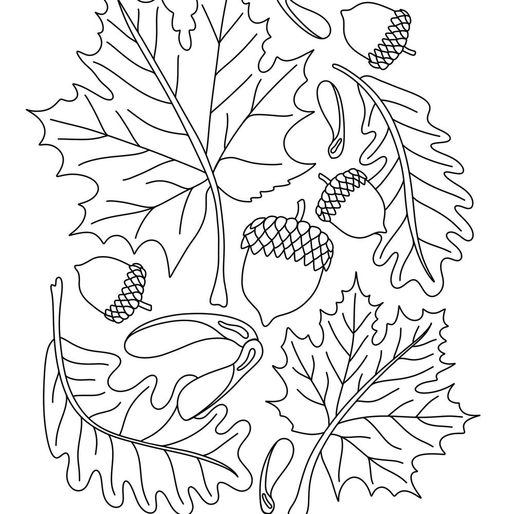 
                      
                        Imagine A Maple Tree - Coloring Book
                      
                    