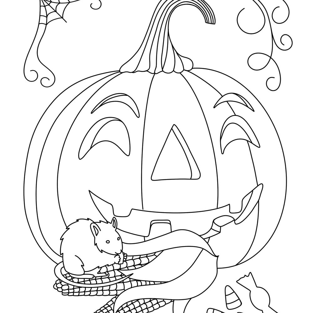 
                      
                        Imagine A Maple Tree - Coloring Book
                      
                    