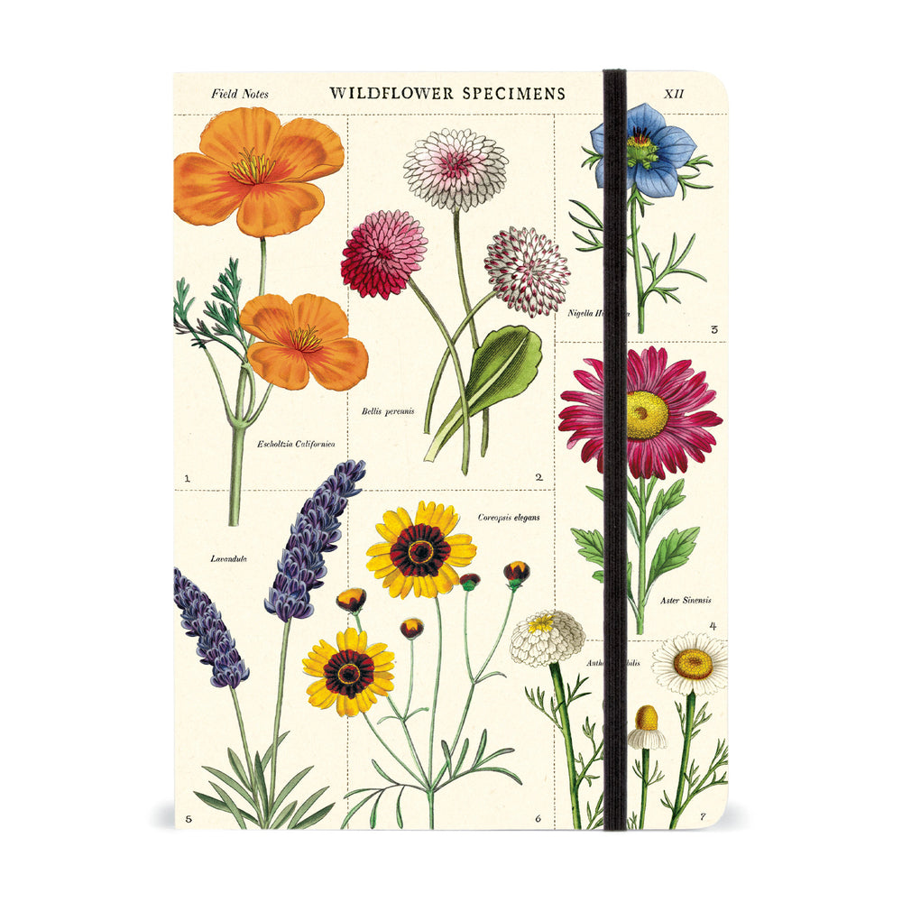 Large Notebooks - Wildflowers