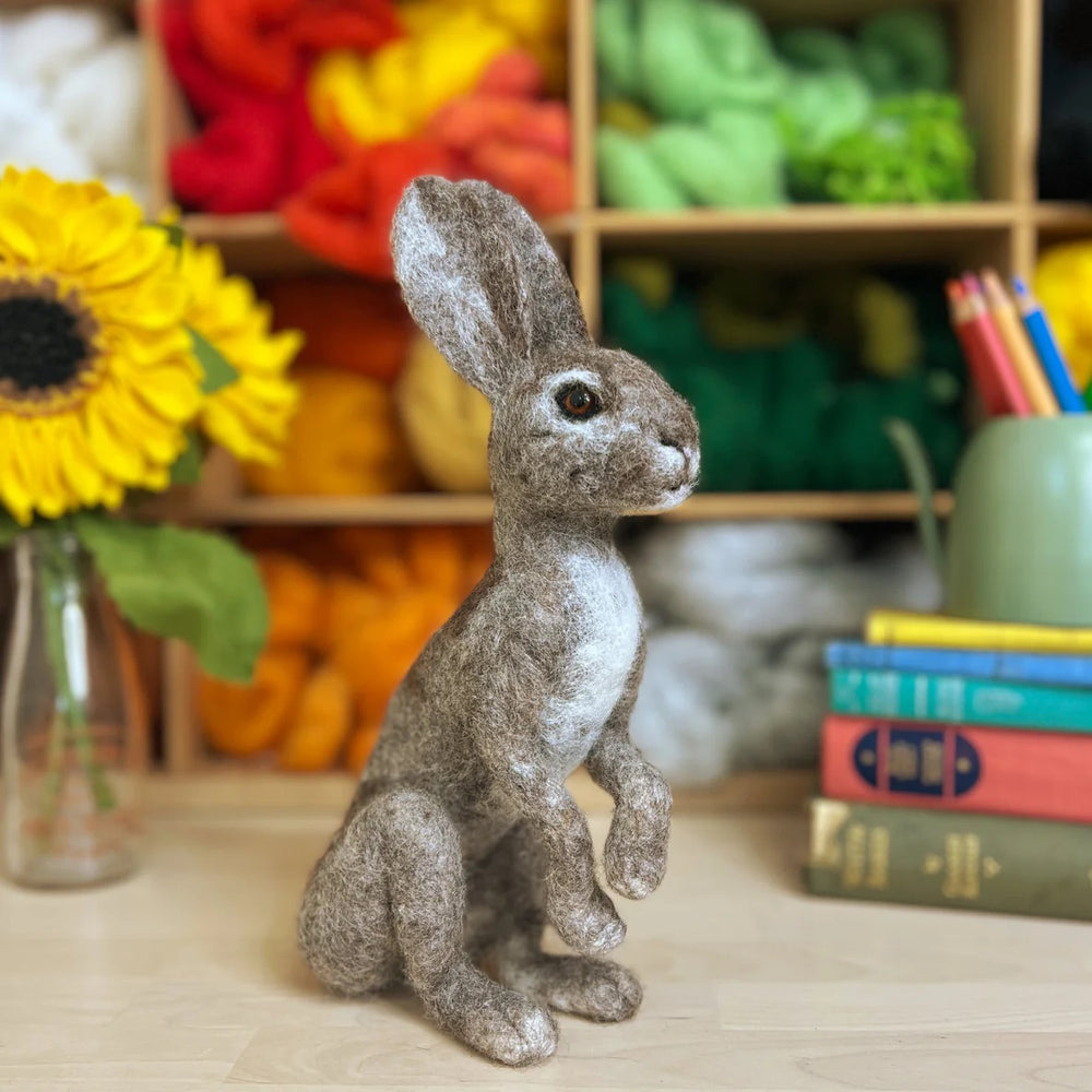 Wild Scottish Hare Needle Felting Kit