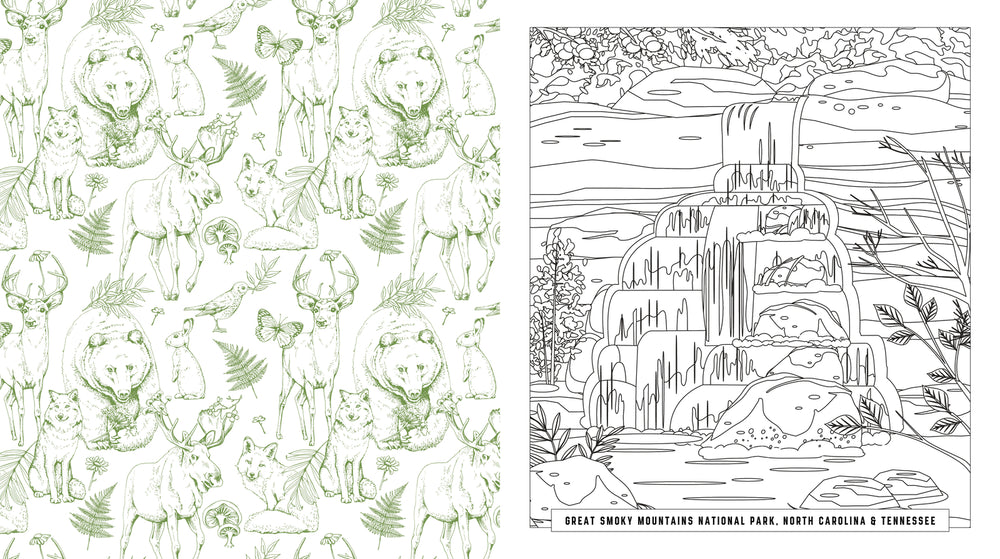 
                      
                        National Parks Coloring Book
                      
                    