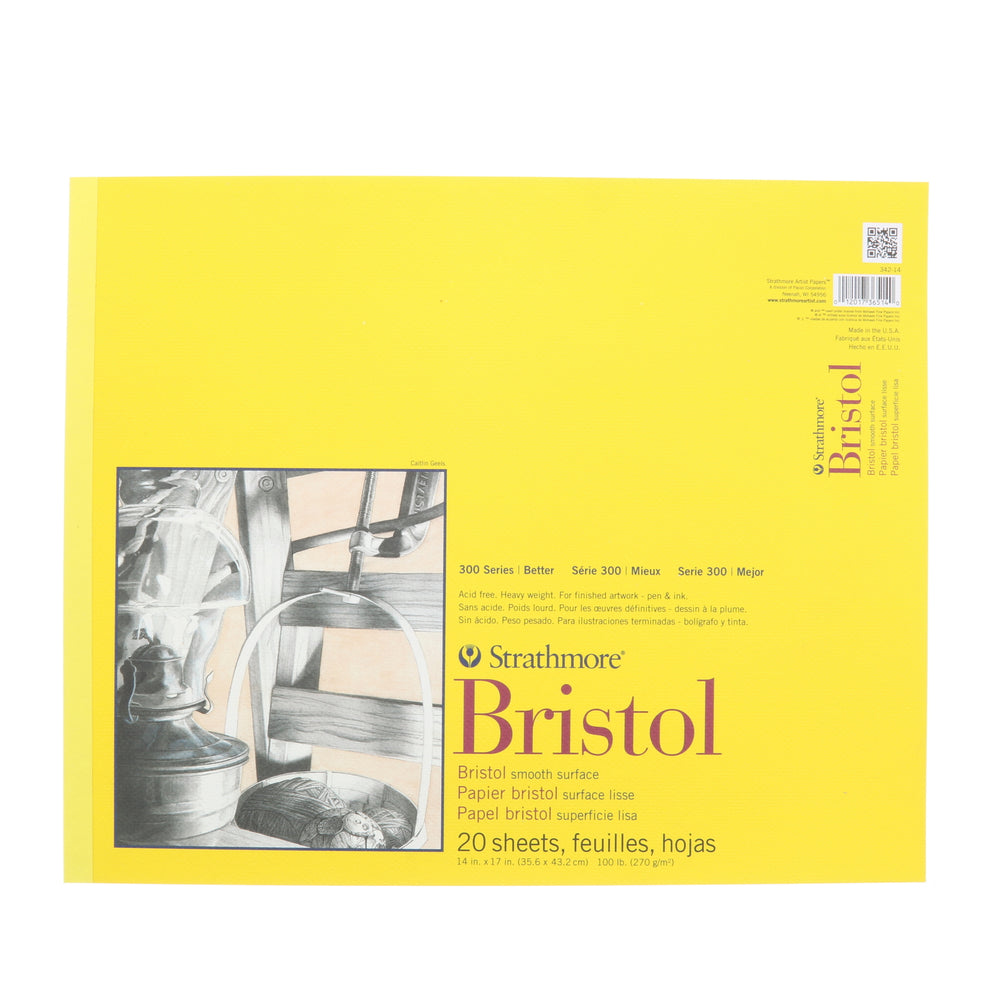 
                      
                        Bristol Paper Pads 300 Series
                      
                    