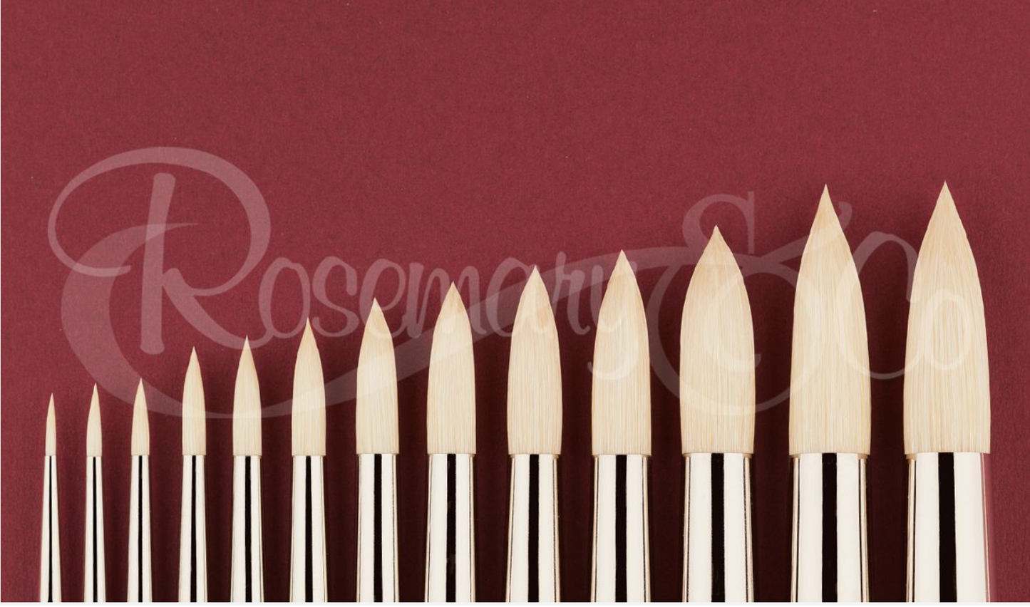 Rosemary & Co. ULTIMATE. Bristle Pointed Round