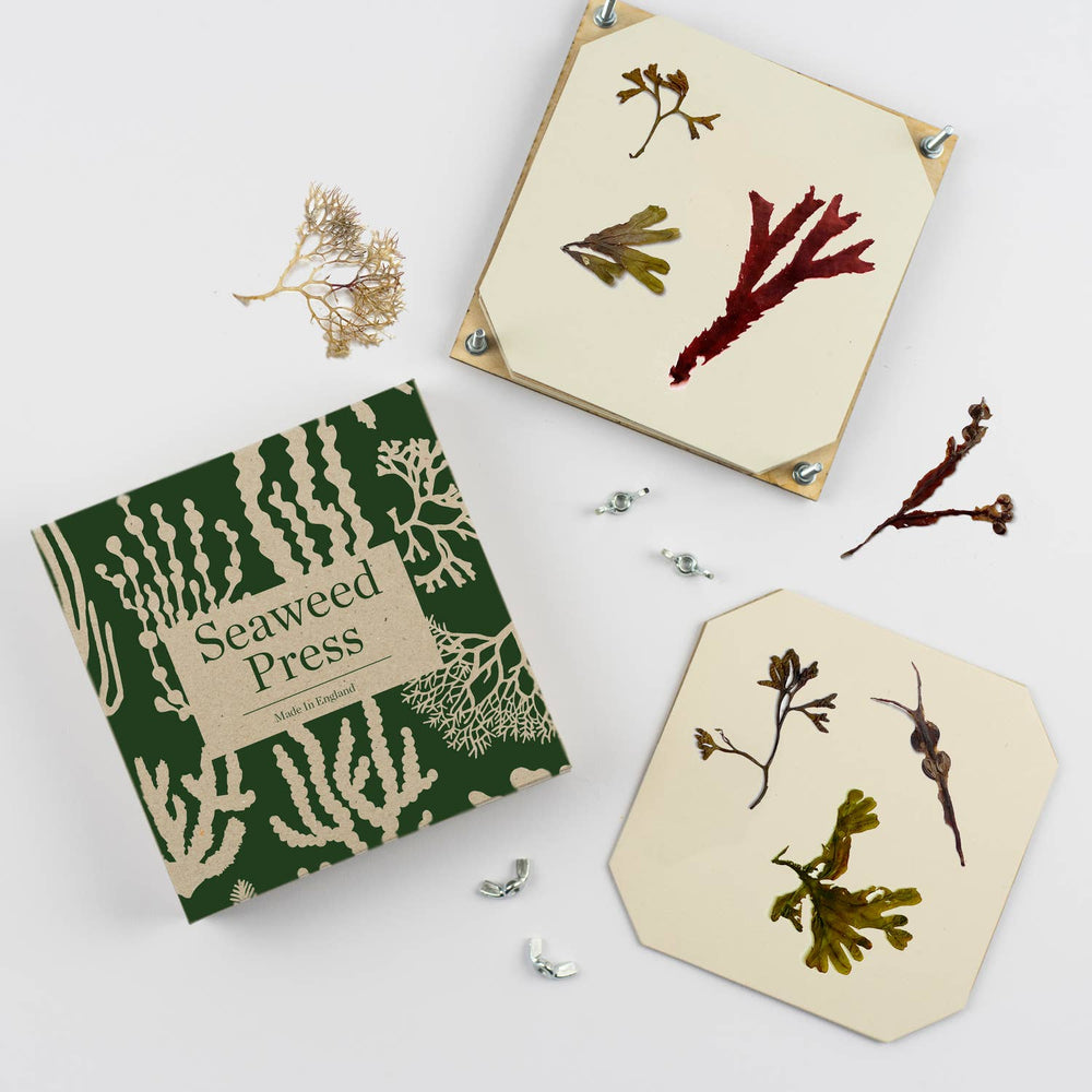 
                      
                        Studio Wald - Seaweed Press Kit
                      
                    