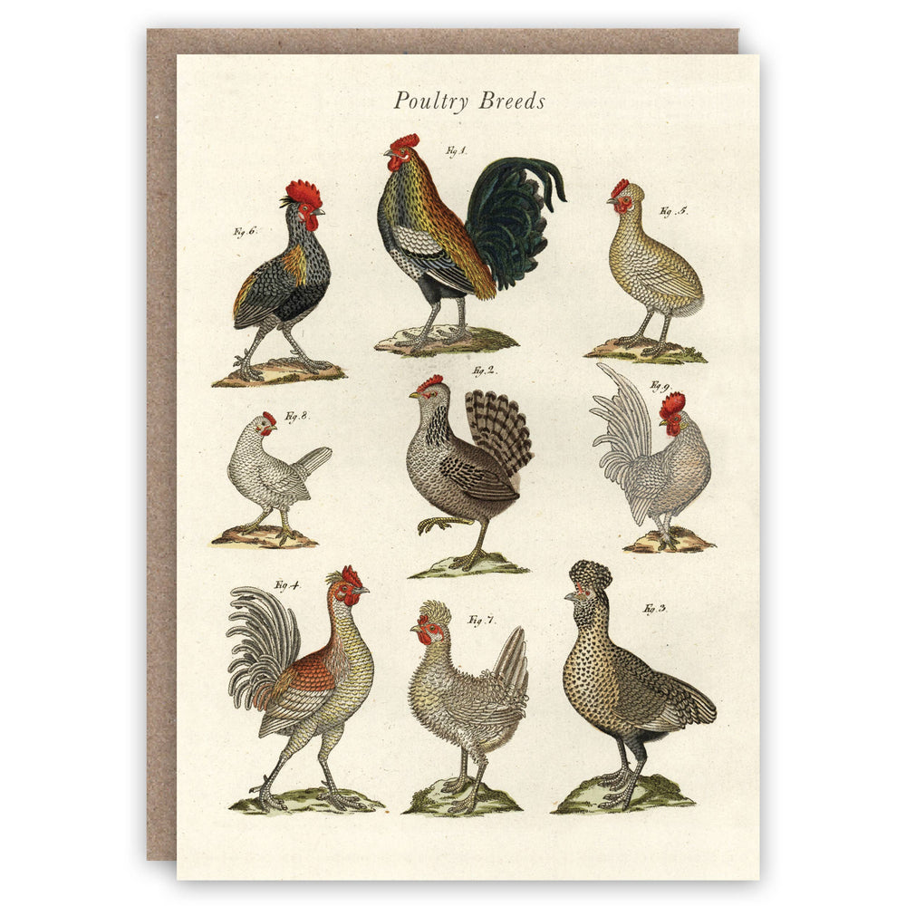 The Pattern Book - Poultry Breeds greeting card