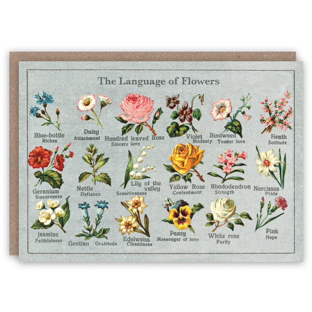 The Pattern Book - Language of Flowers greeting card