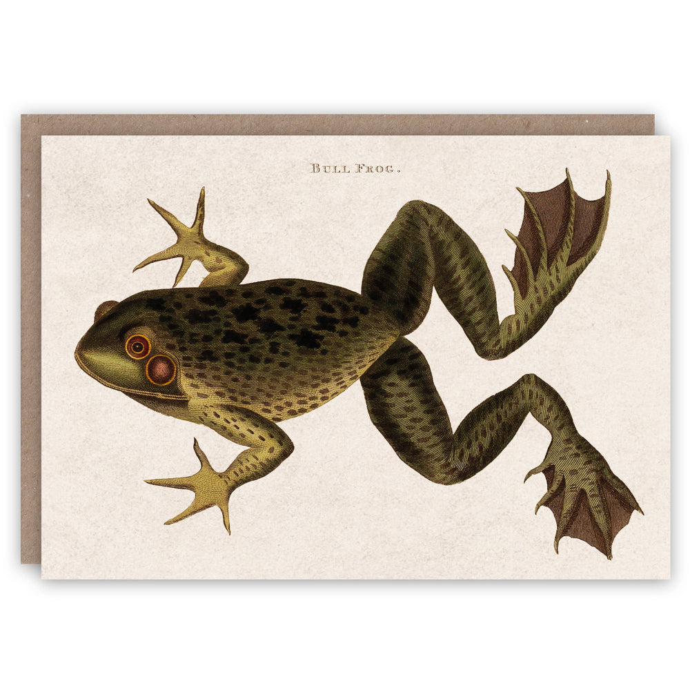 The Pattern Book - Bull Frog greeting card