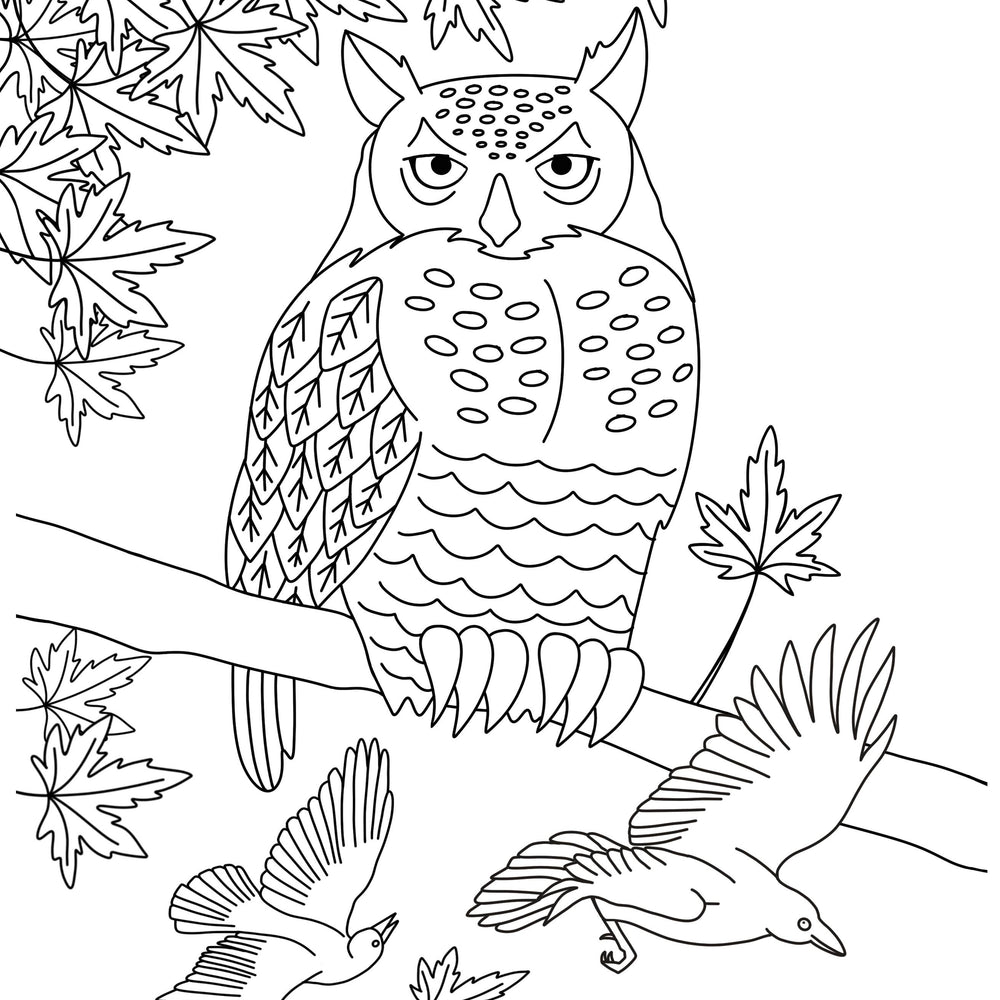 
                      
                        Imagine A Maple Tree - Coloring Book
                      
                    