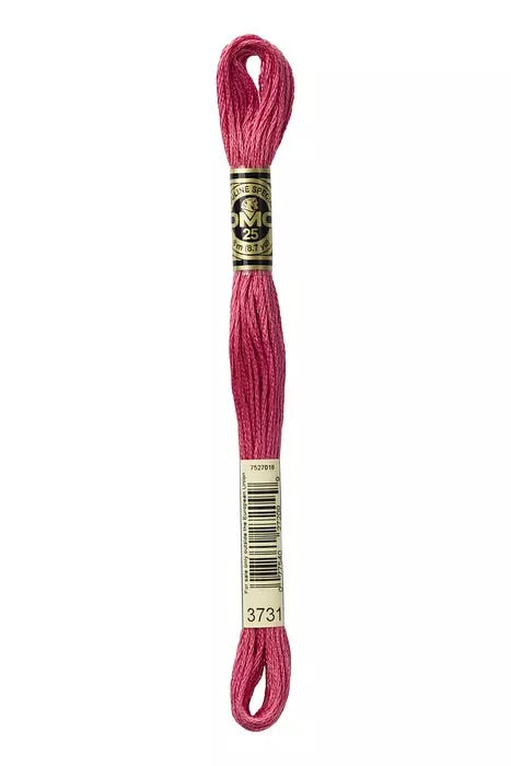 
                      
                        DMC Embroidery Floss - Pinks
                      
                    