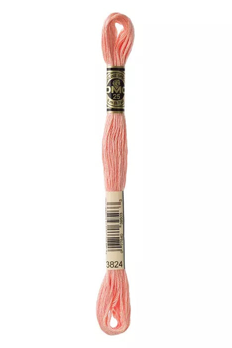 
                      
                        DMC Embroidery Floss - Pinks
                      
                    