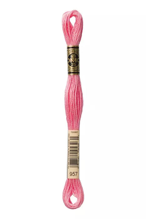 
                      
                        DMC Embroidery Floss - Pinks
                      
                    