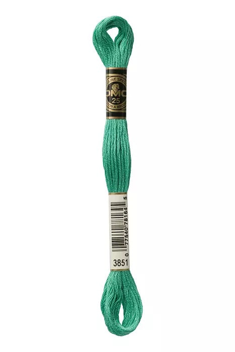 
                      
                        DMC Embroidery Floss - Greens
                      
                    