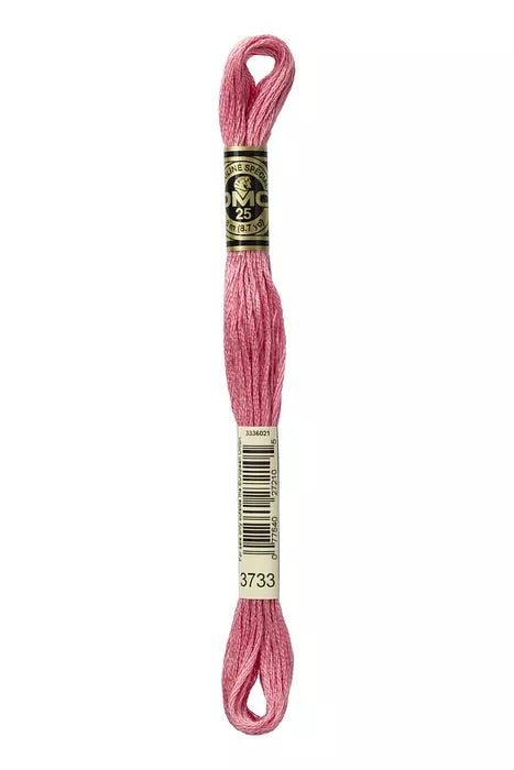 
                      
                        DMC Embroidery Floss - Pinks
                      
                    