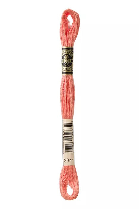 
                      
                        DMC Embroidery Floss - Pinks
                      
                    