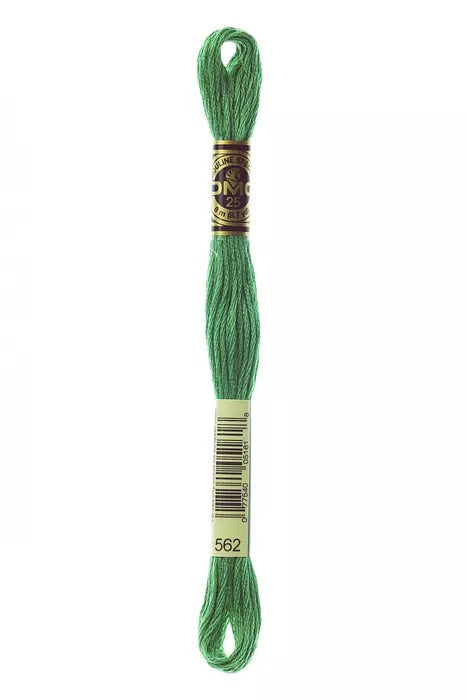 
                      
                        DMC Embroidery Floss - Greens
                      
                    