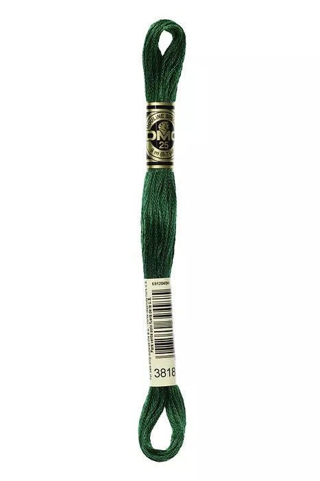 
                      
                        DMC Embroidery Floss - Greens
                      
                    