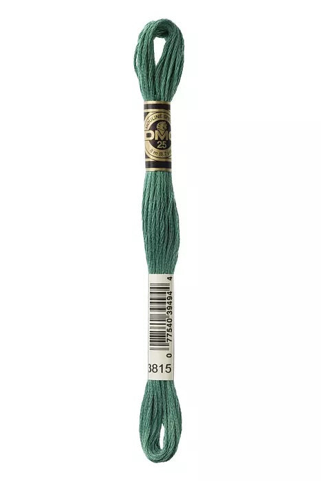 
                      
                        DMC Embroidery Floss - Greens
                      
                    