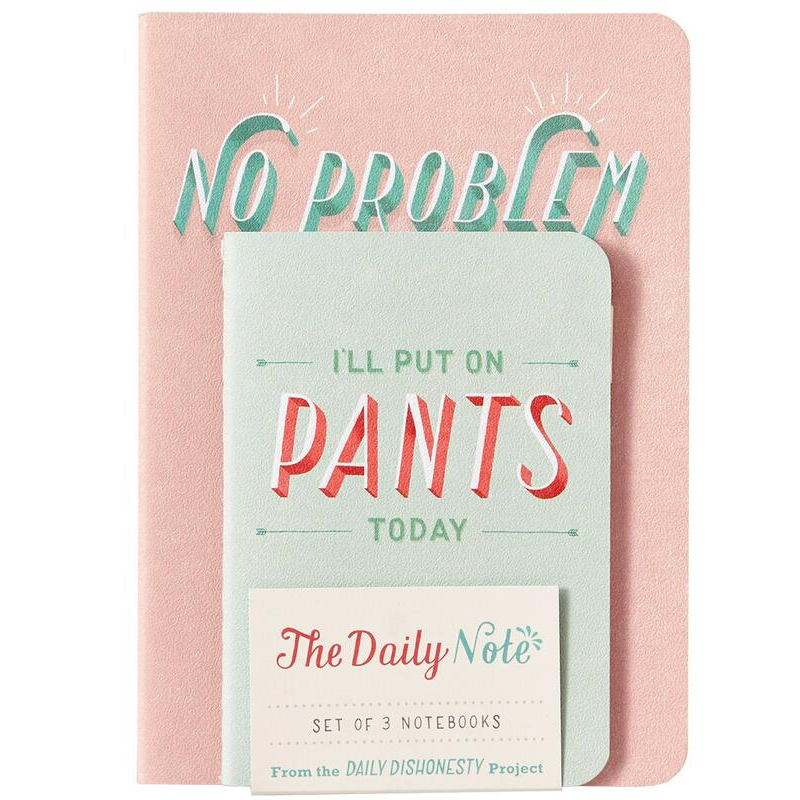 Daily Dishonesty Notes - Set of 3 Notebooks