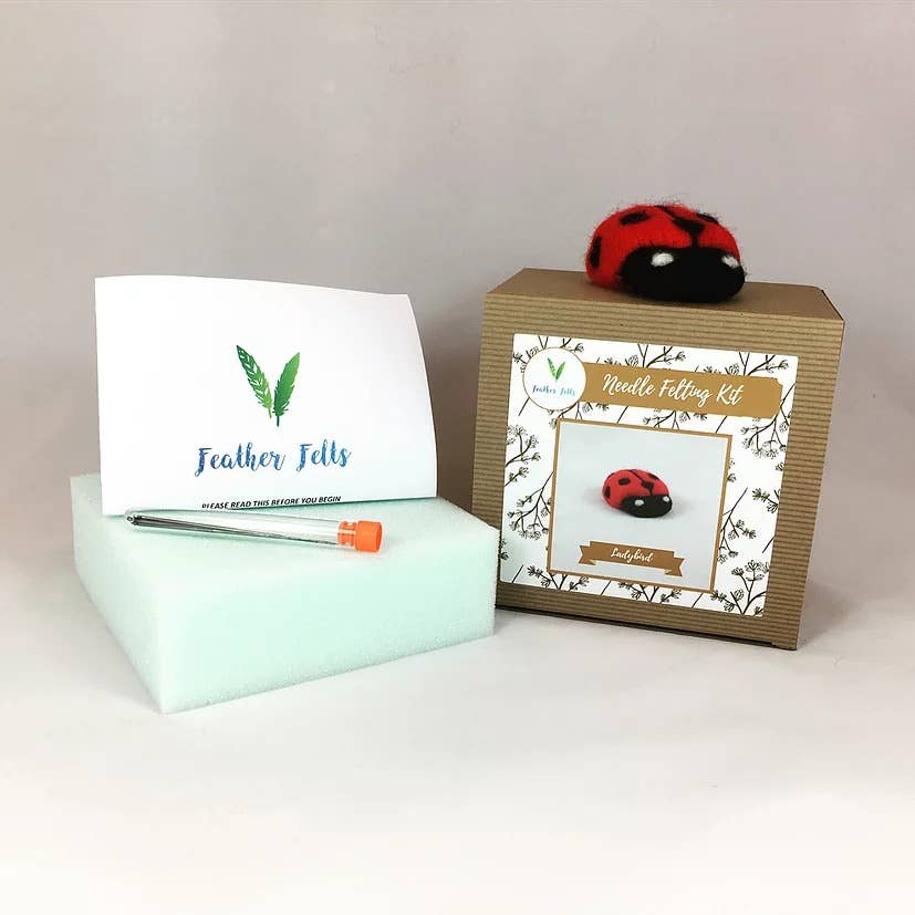 Ladybird - Needle Felting Kit