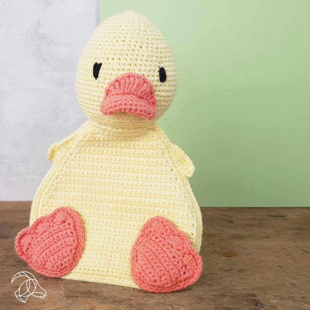 DIY Eco-Friendly Crochet Kit - Jenny Duck