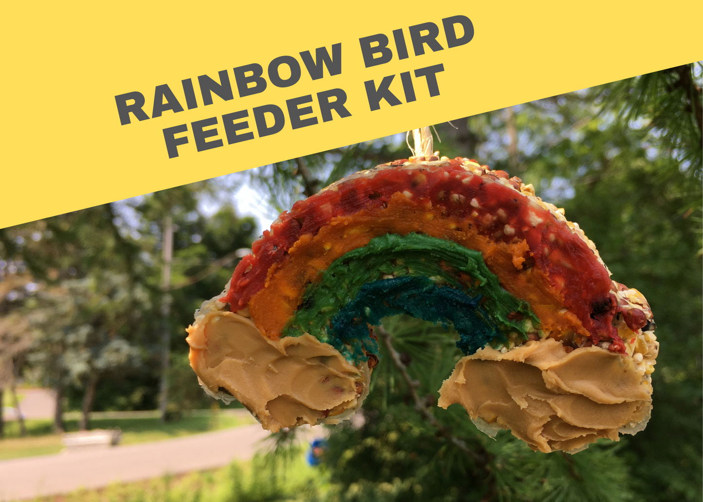 Rainbow Bird Feeder DIY Kit | Paint with Colored Peanut Butter