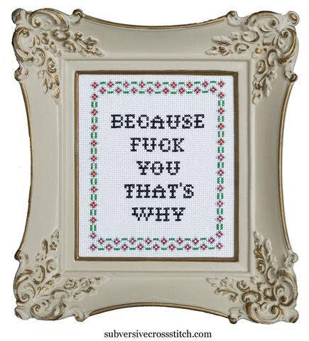 Subversive Cross Stitch - Because F*ck You That's Why