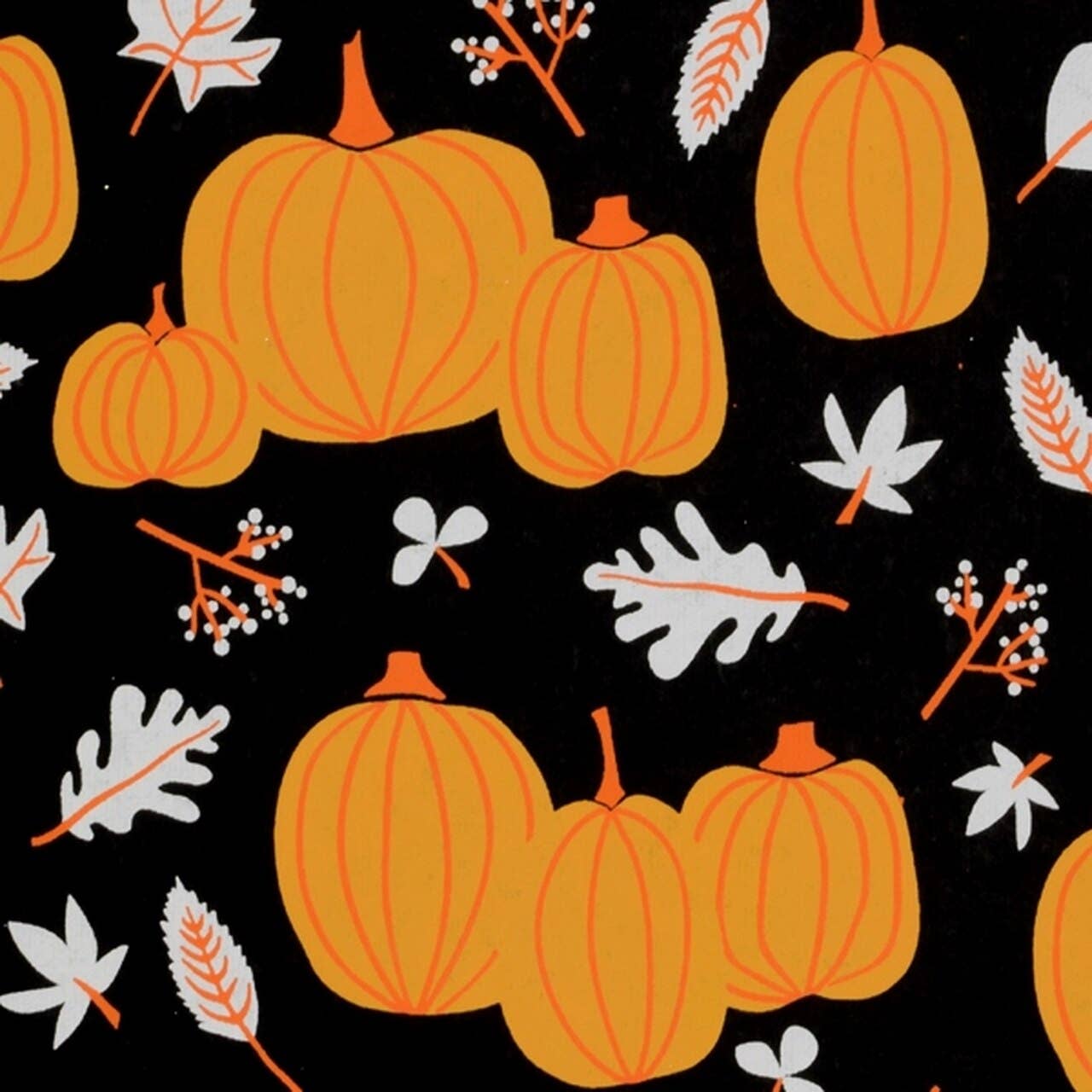 Pumpkins - 10 Flat Sheet Pack - Black/Orange/White